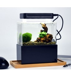 Cunzo Mini Aquarium Acrylic Glass for Saltwater and Freshwater