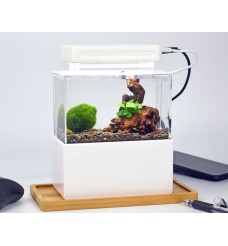 Cunzo Mini Aquarium Acrylic Glass for Saltwater and Freshwater
