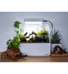 Cunzo mini aquarium 2025