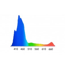 PAR light Noopsyche K7 V3